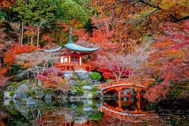 autumn japan