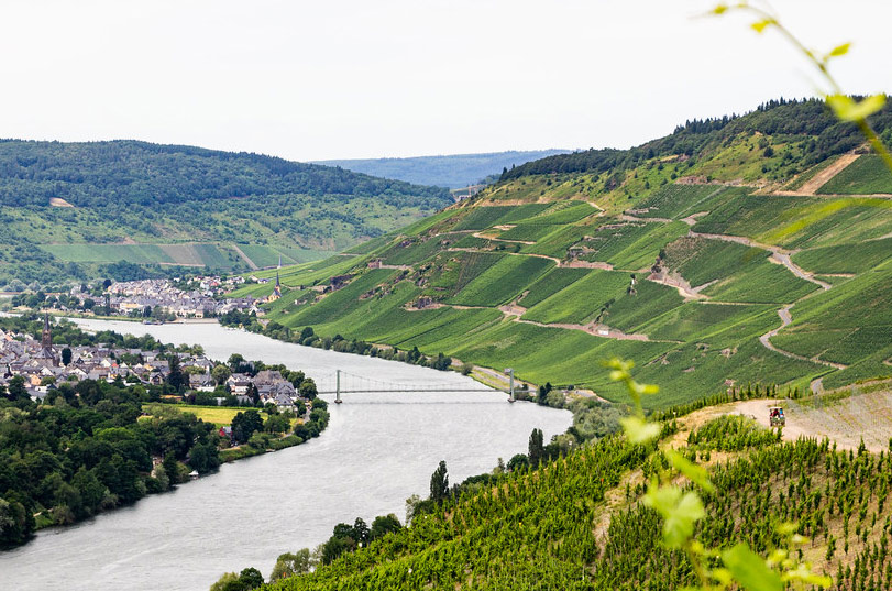 Breathtaking Beauty and Exquisite Wines of the Moselle River