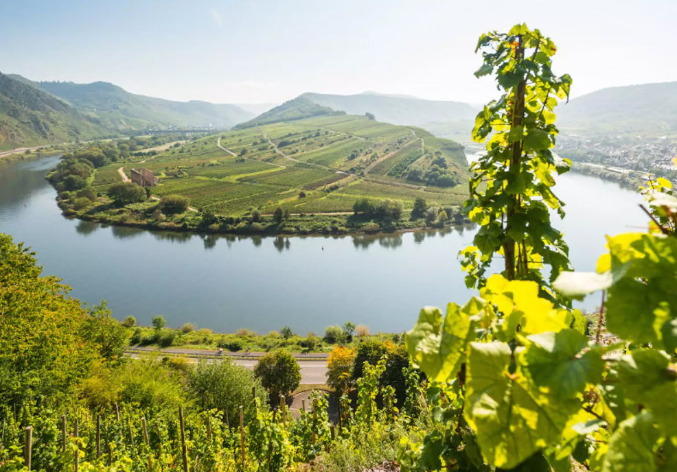 Breathtaking Beauty and Exquisite Wines of the Moselle River