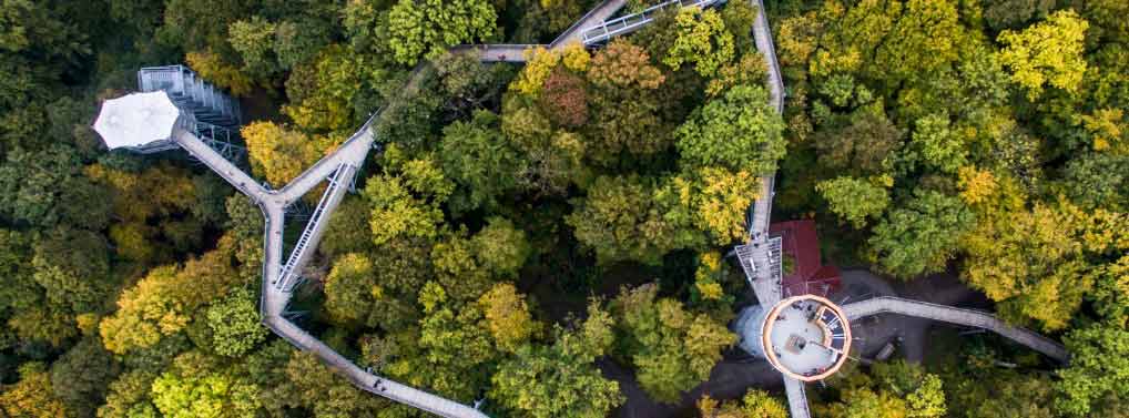 Hainich National Park A Hidden Gem in Germany