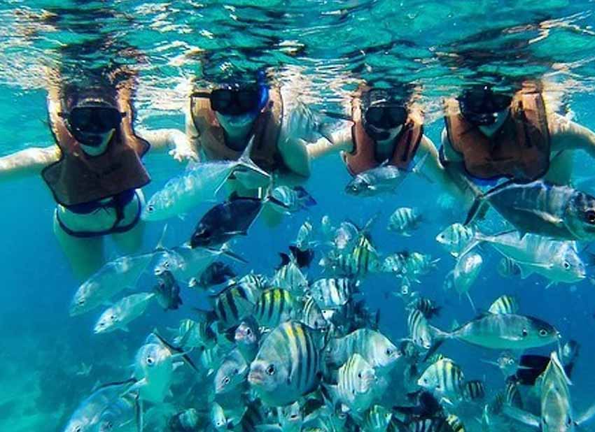 bahamas Half Moon Cay Discover your Underwater World traveldaily club.jpg