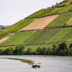 Moselle River – The Gorgeous River in Europe