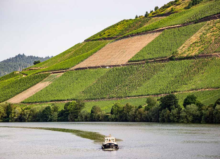 Moselle River – The Gorgeous River in Europe