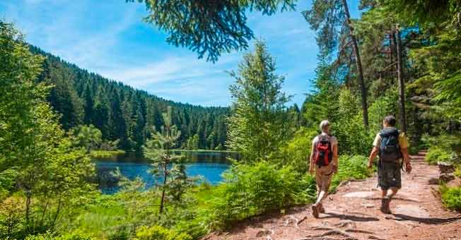 Outdoor Activities for Nature Lovers in Germany