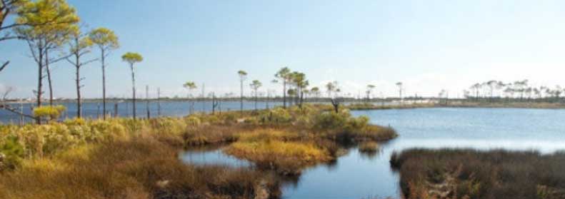 To visit Bon Secour National Wildlife Refuge Beach.