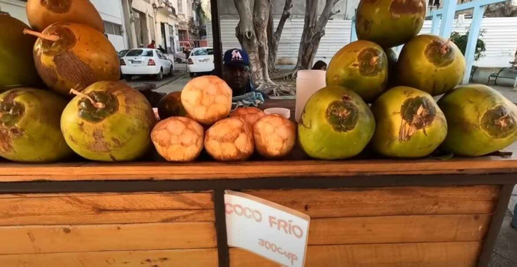 They sell coconuts. For tourists the price is 300 pesos. There are also 60 around the corner.