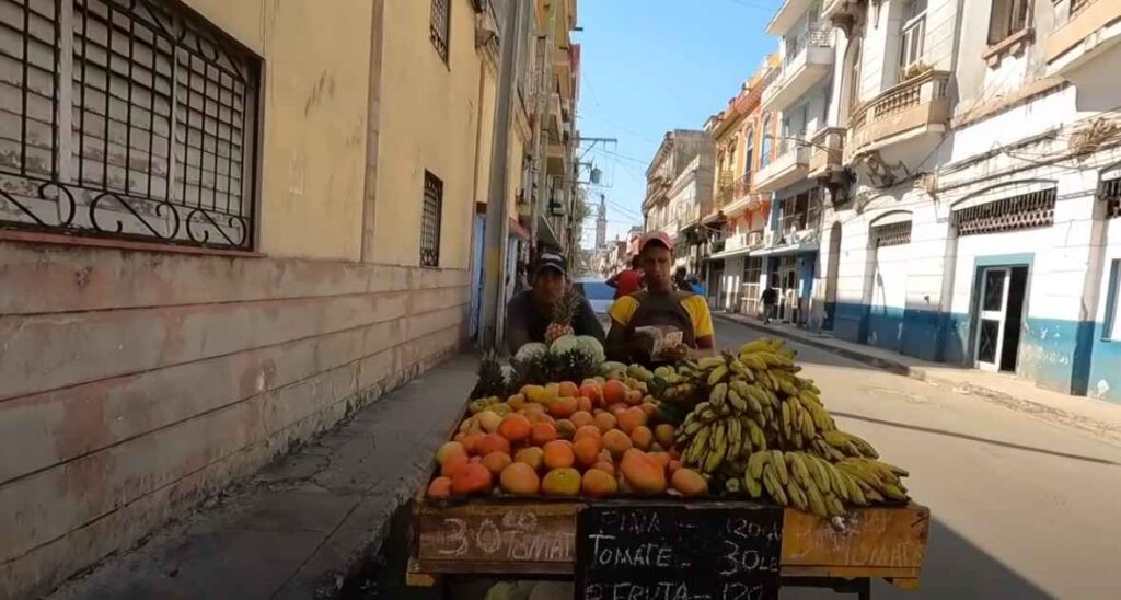 Cuba Street fruit vendors