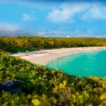 An Idyllic Island Escape Crafting the Best Vieques Getaway