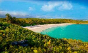 An Idyllic Island Escape Crafting the Best Vieques Getaway